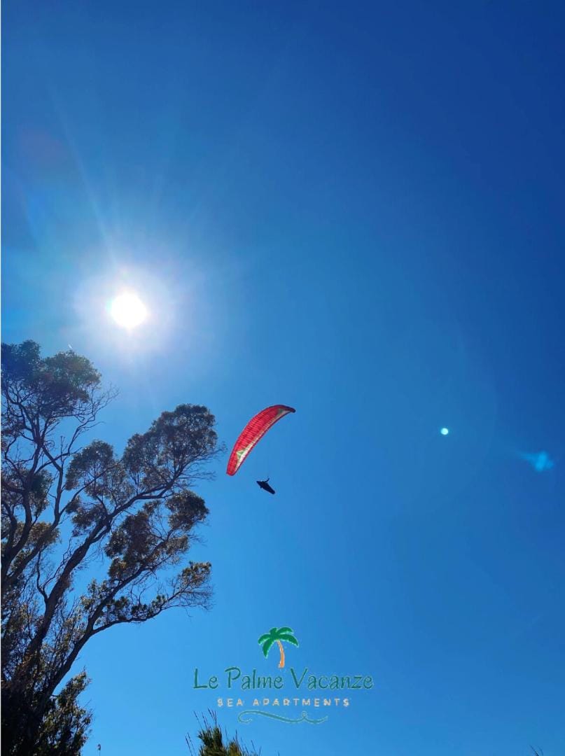 Bird's eye view, Windsurfing