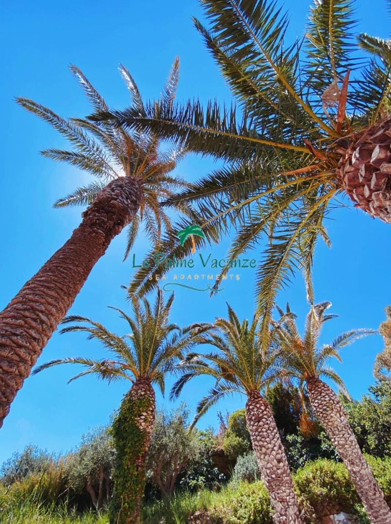 Natural landscape, Garden, Garden view, Landmark view