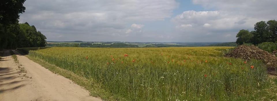 Natural landscape