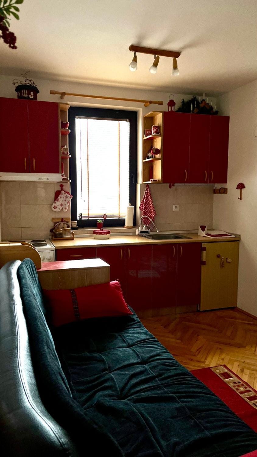 Vila Boris, Apartman Aleksej - Kopaonik Apartment in Serbia