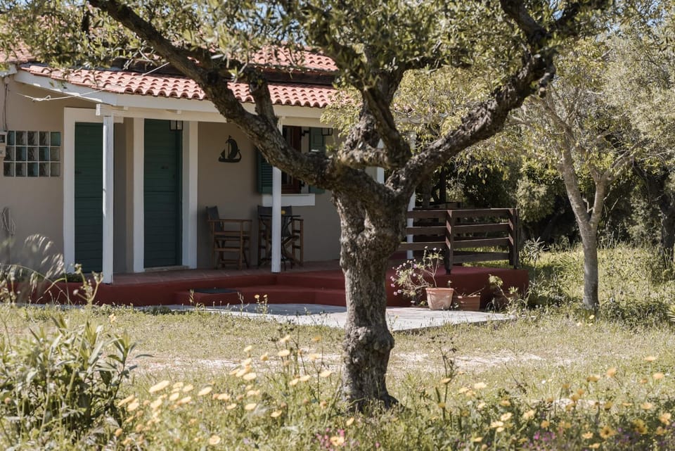 Property building, Natural landscape, Garden, Garden view