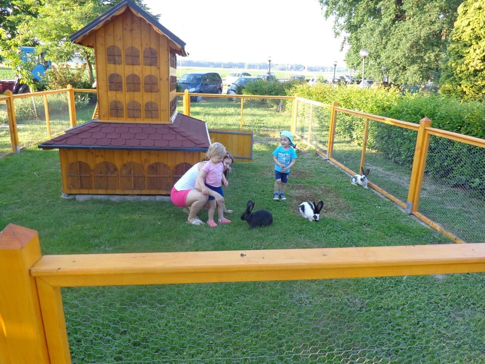 Tourist Farm Šalamun Farm Stay in Slovenia