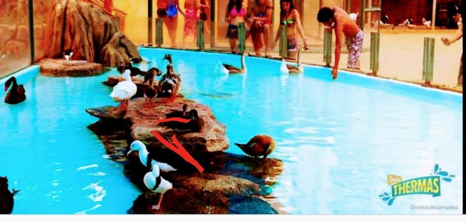 Olimpia Park Resort - Resort em Olímpia Hotel in Olímpia