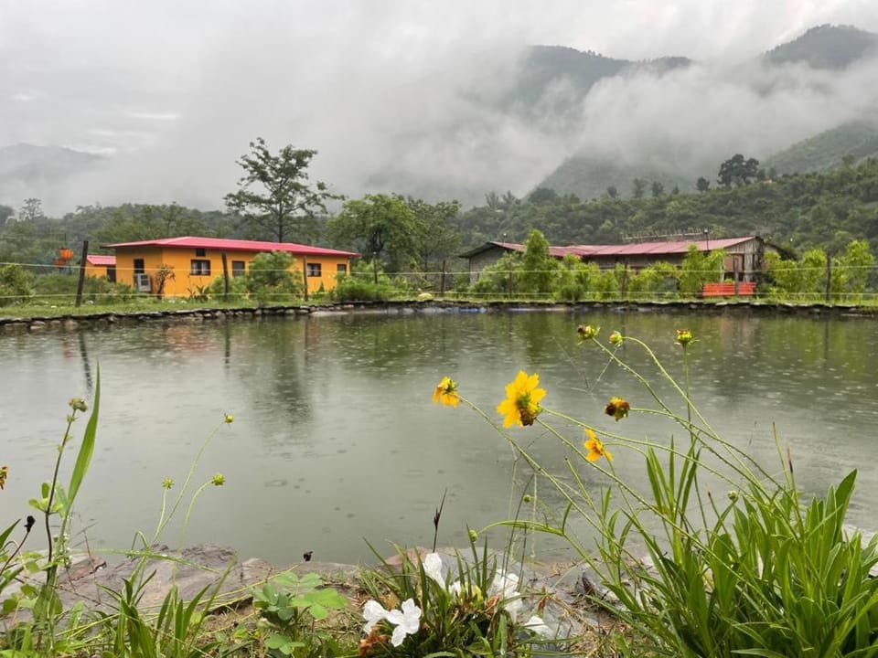 Lake view