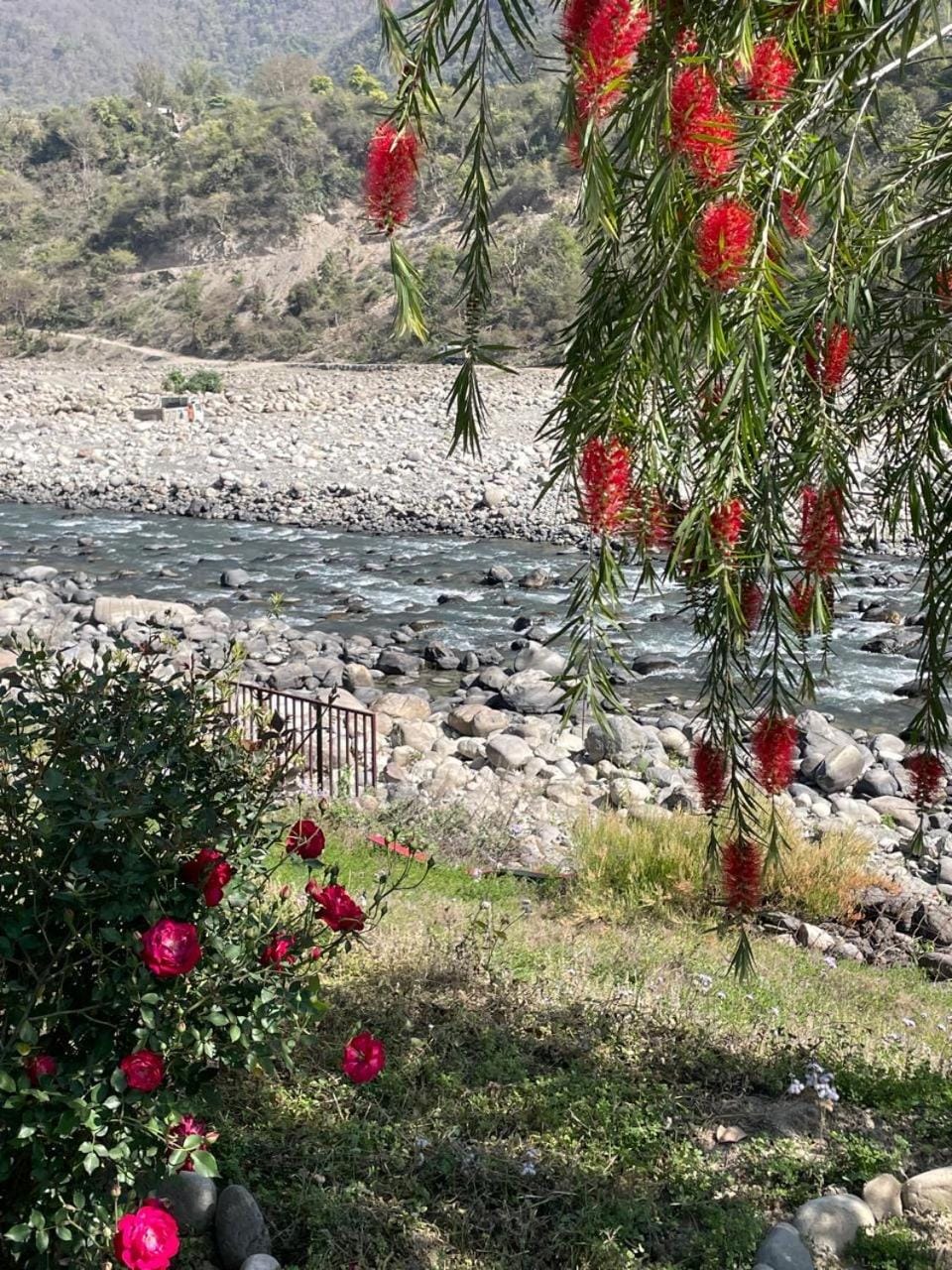 River view