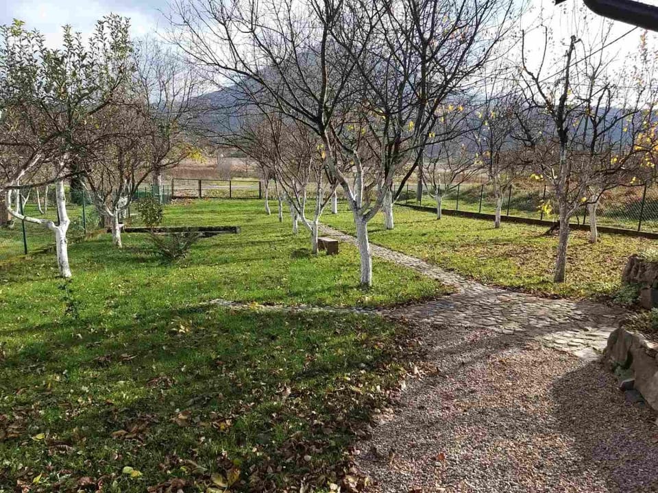 Spring, Natural landscape