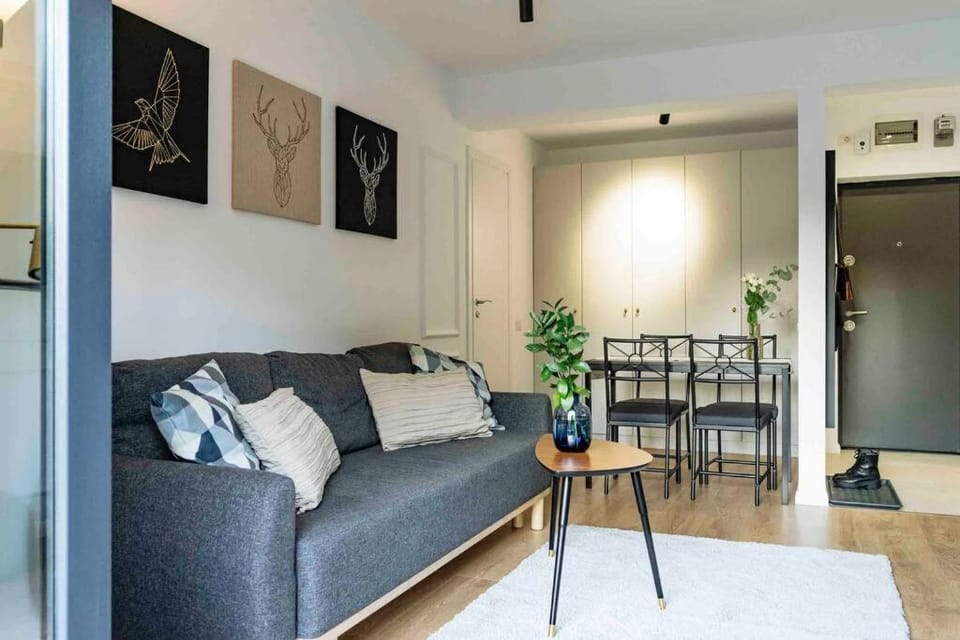Bright Apartment - Top Location - City Balcony Apartment in Bucharest