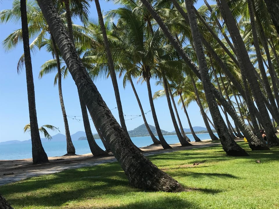 Natural landscape, Garden, Beach