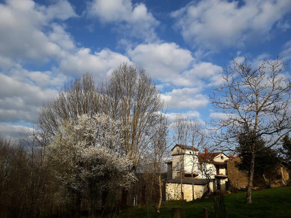 Property building, Spring, Natural landscape, Garden