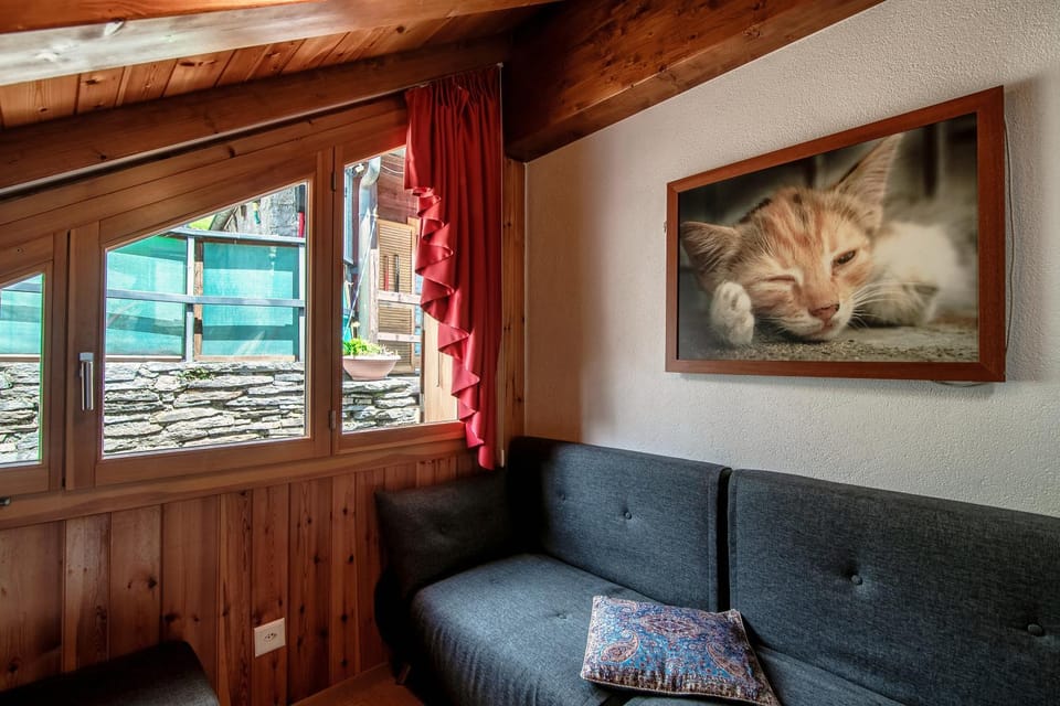 Baita dal Gat by Quokka 360 - modern wooden chalet in Faido Apartment in Canton of Ticino