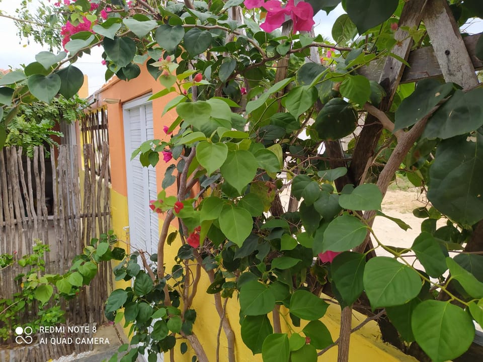 Casa Grande Bed and Breakfast in State of Ceará