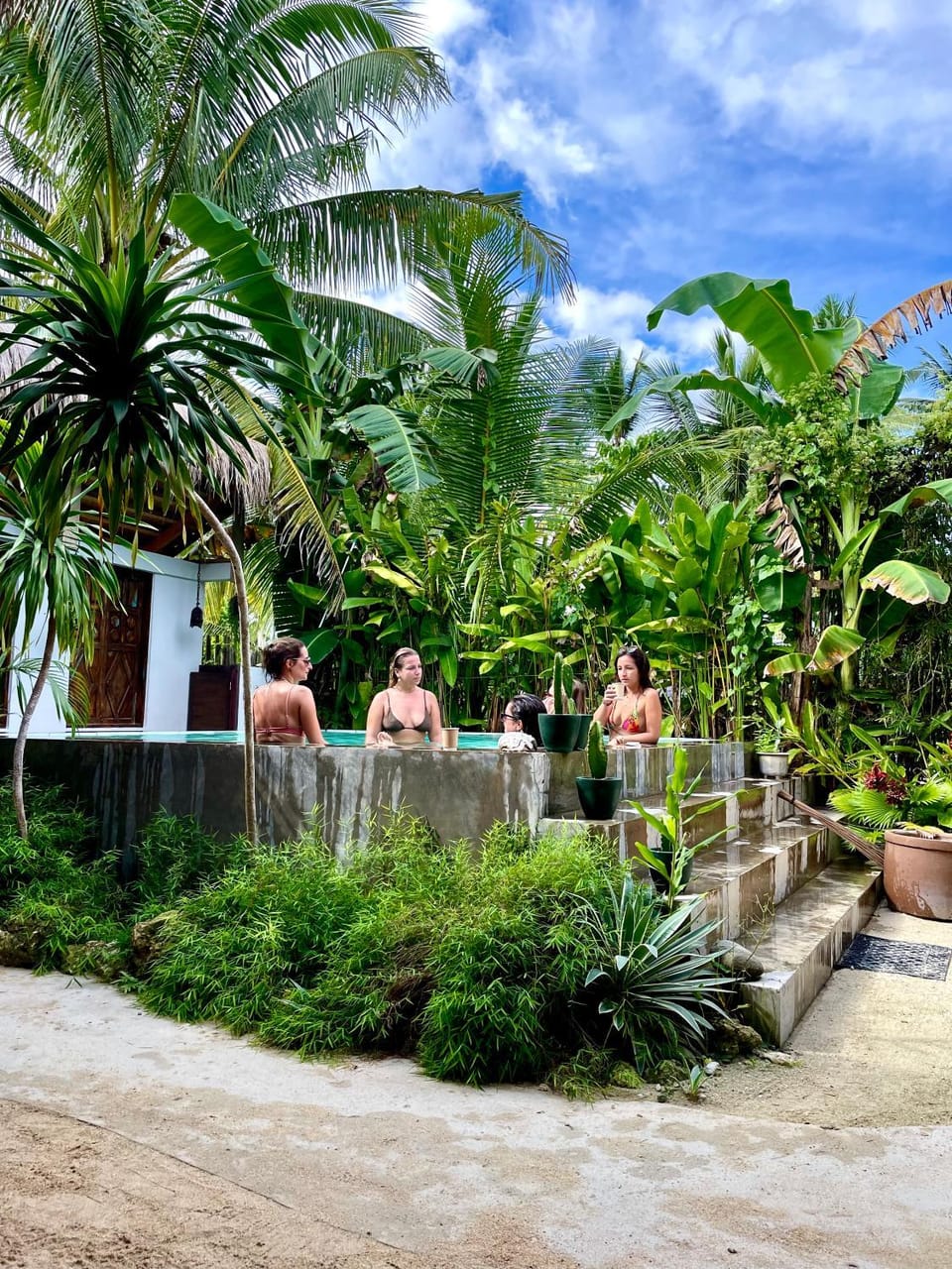 Natural landscape, Garden, Garden view, Swimming pool, group of guests