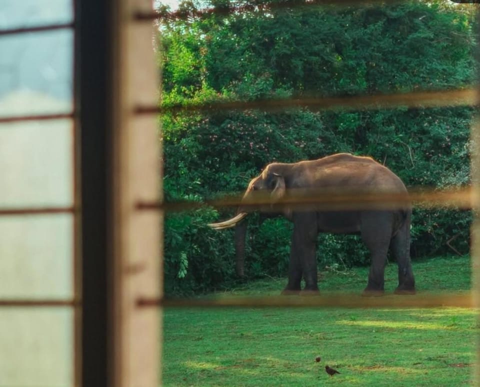 Runnel View Hotel in Kerala