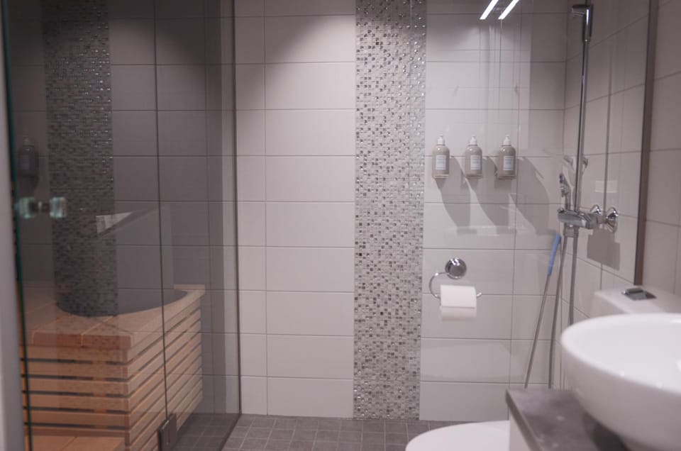Toilet, Sauna, Bathroom