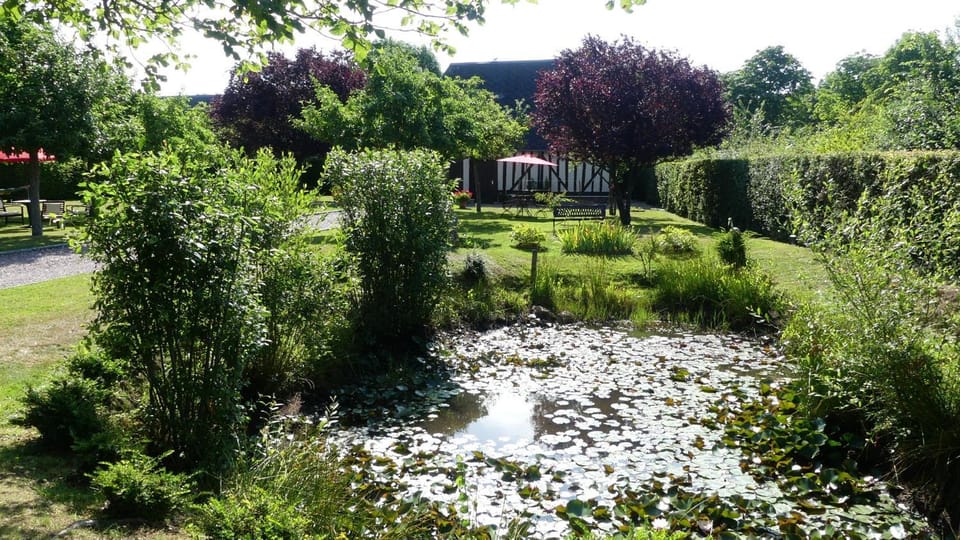 Garden, Garden view
