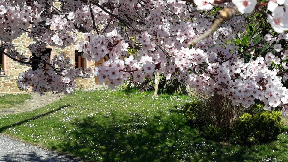Facade/entrance, Off site, Garden