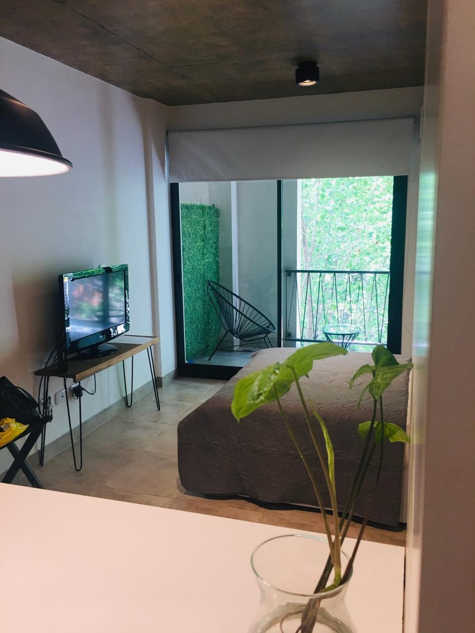 Communal lounge/ TV room, TV and multimedia