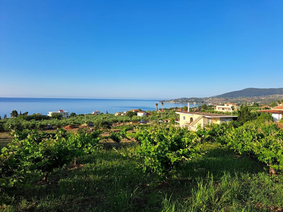 Sea view