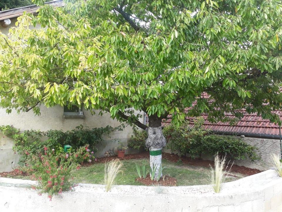 Garden, Garden