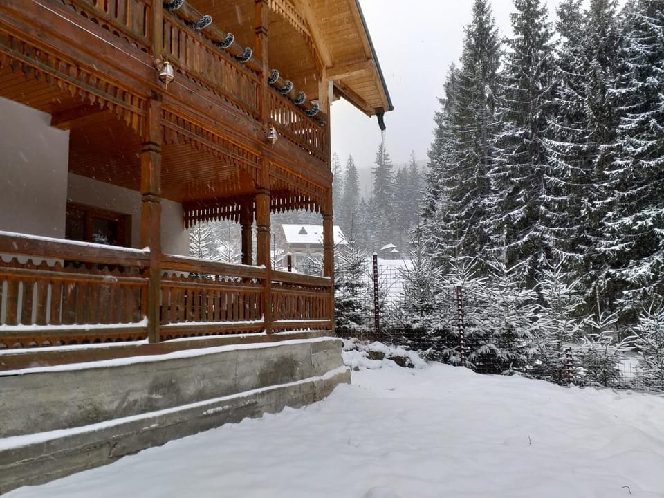 Pensiunea Gură de Rai, Pojorâta Bed and Breakfast in Romania