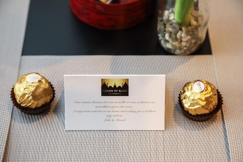 Style Industriel Aux Bords de la Loire Apartment in Blois