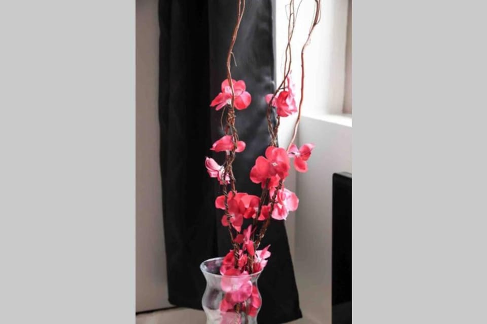 Charme & Cocooning : Belle Vue sur la Loire Apartment in Blois