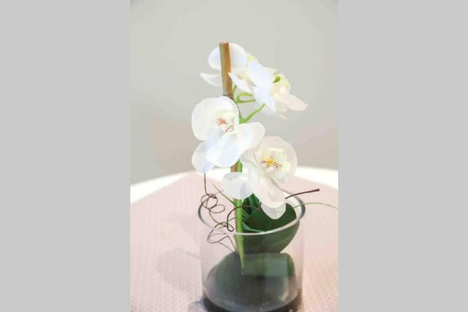 Charme & Cocooning : Belle Vue sur la Loire Apartment in Blois