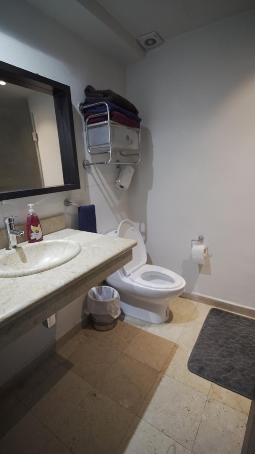 One Bedroom Apartment Del Valle Apartment in Mexico City