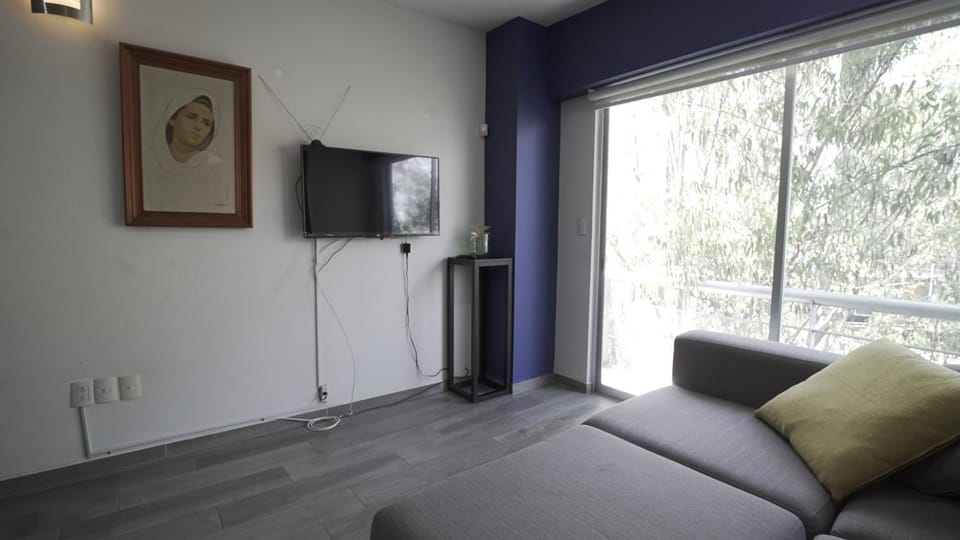 One Bedroom Apartment Del Valle Apartment in Mexico City