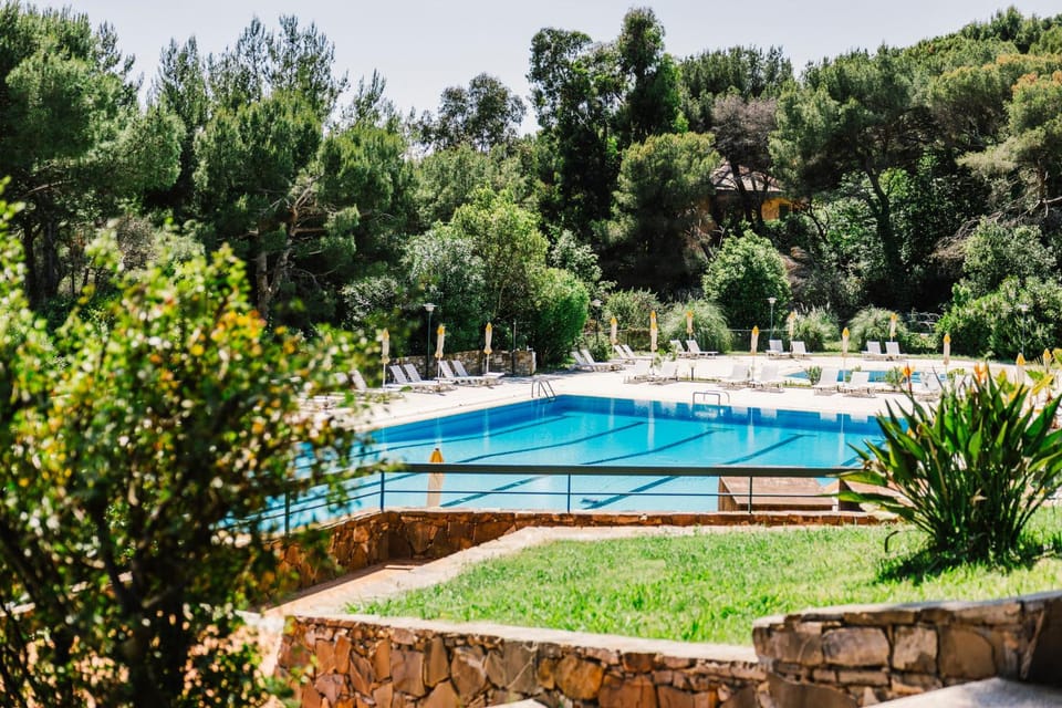 Natural landscape, Garden view, Pool view