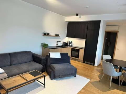 ÖÖ Street Luxury Apartment with Terrace Apartment in Estonia