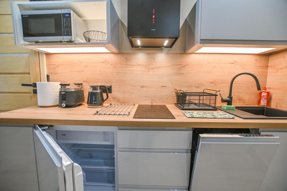 Kitchen or kitchenette, dishwasher, stove, toaster