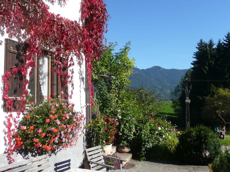 Adlerhof Farm Stay in Bavaria