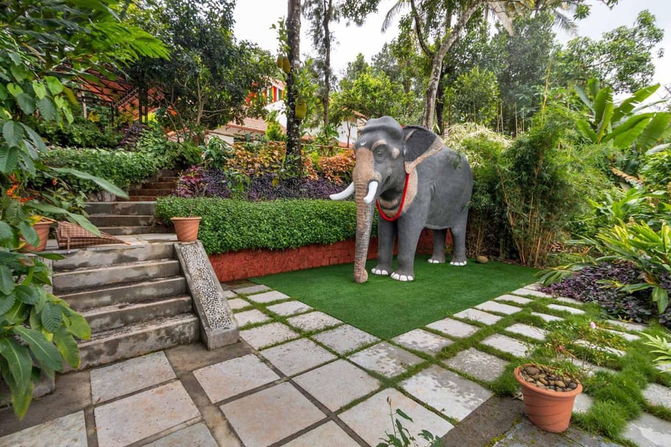 Natural landscape, Garden, Garden view, group of guests
