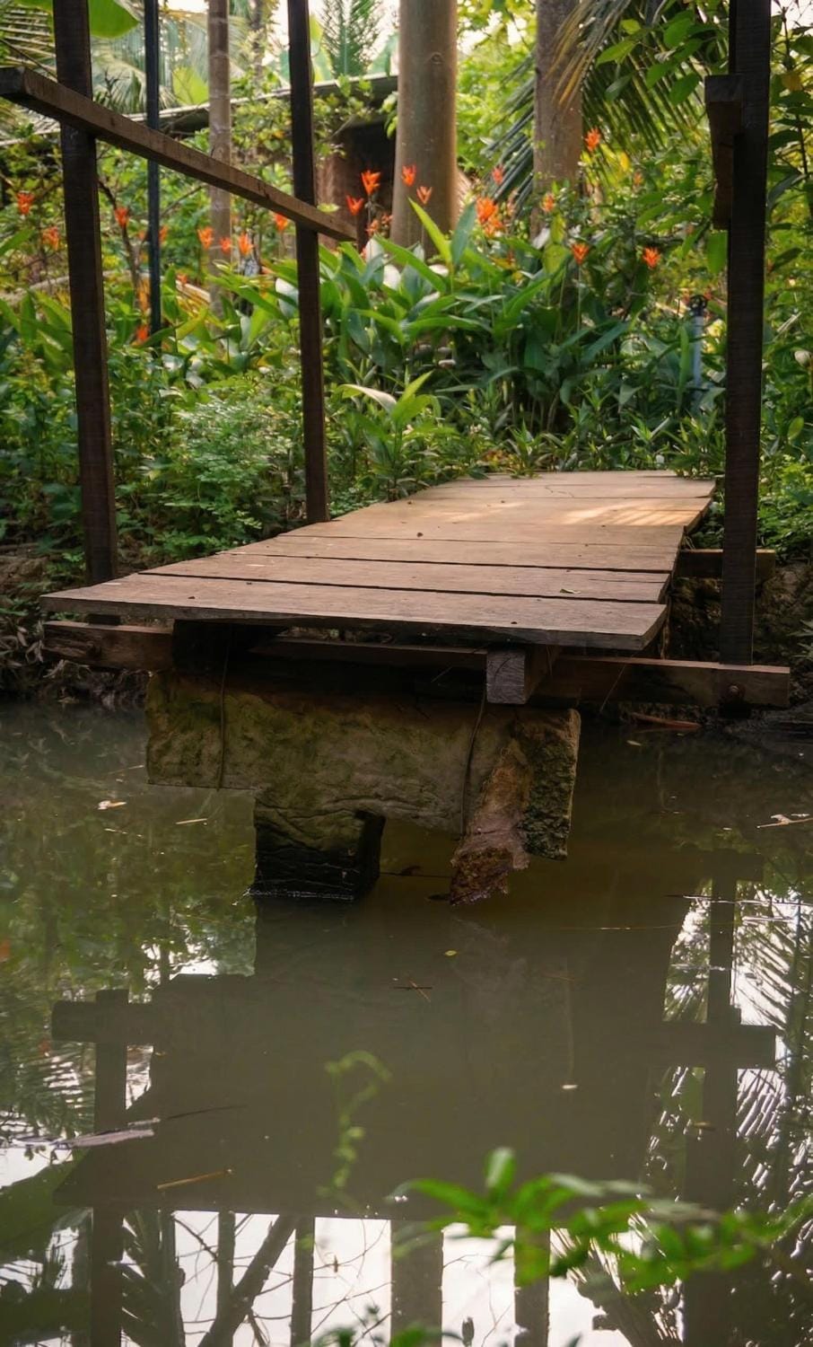 Nông Trại Thảnh Thơi Farm Stay in Cambodia