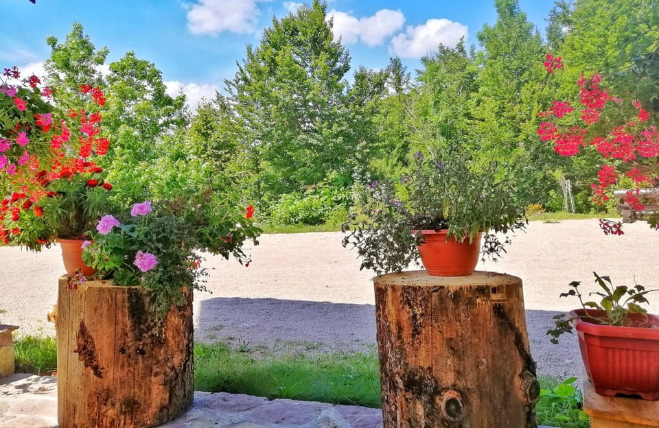 Activities, Children play ground, Garden, View (from property/room), Balcony/Terrace, Lobby or reception, Other, Decorative detail, Hiking, Cycling, Garden view, Mountain view, Street view, Entertainment
