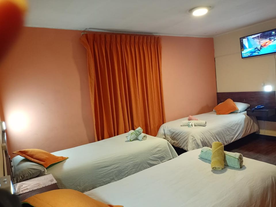 Bed, Other, Photo of the whole room