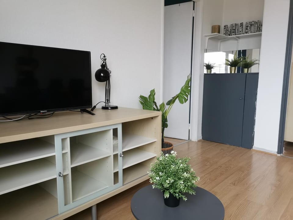 Communal lounge/ TV room, TV and multimedia