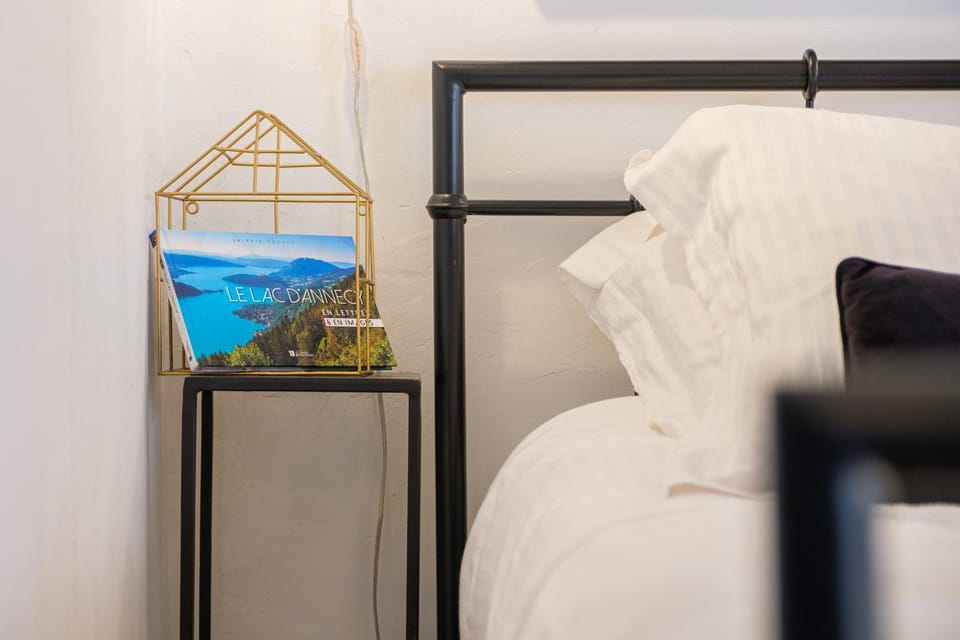 Au Grey d’Annecy, studio cosy au cœur de la ville Apartment in Annecy