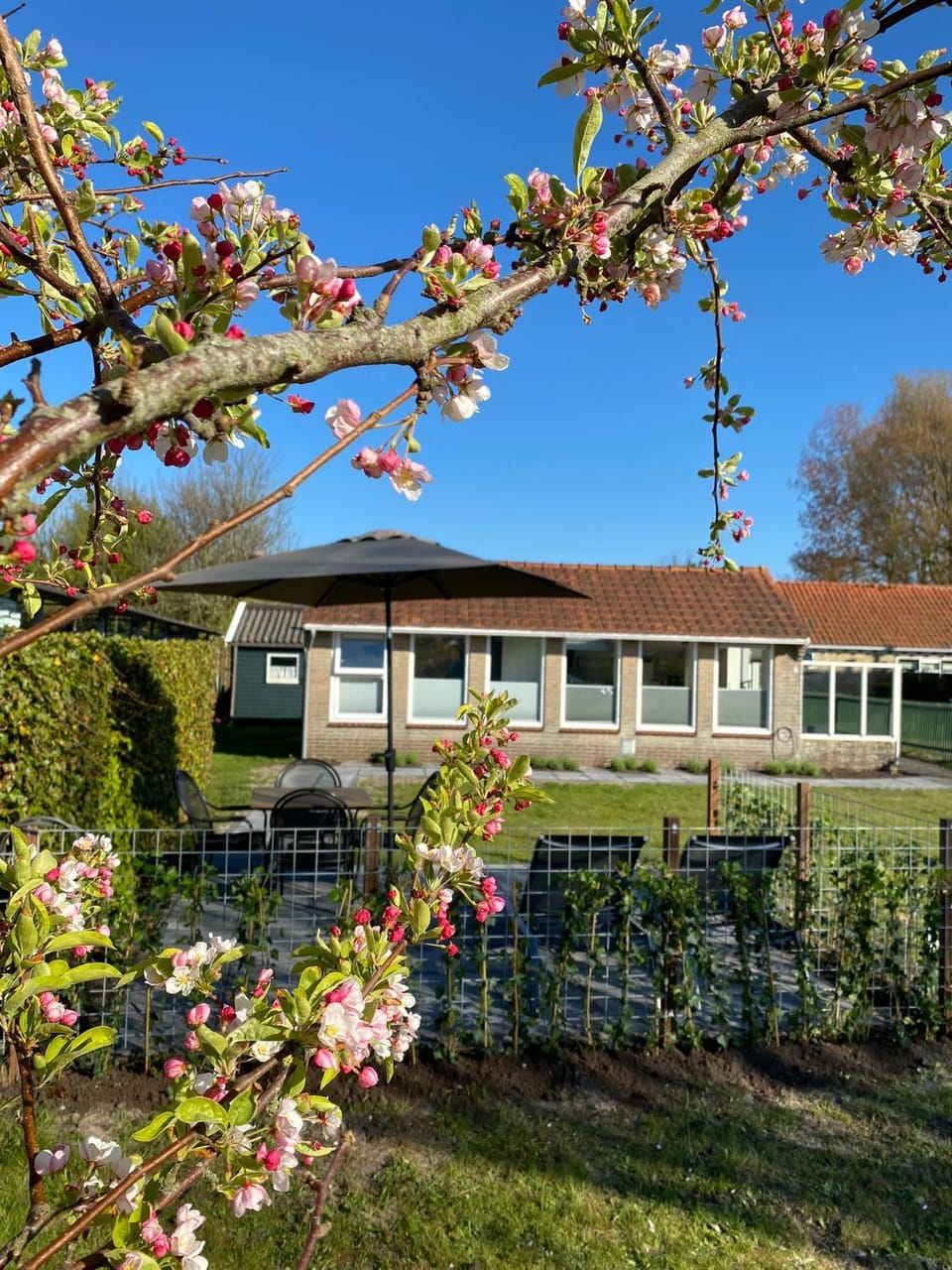 't Hok House in Friesland, Netherlands