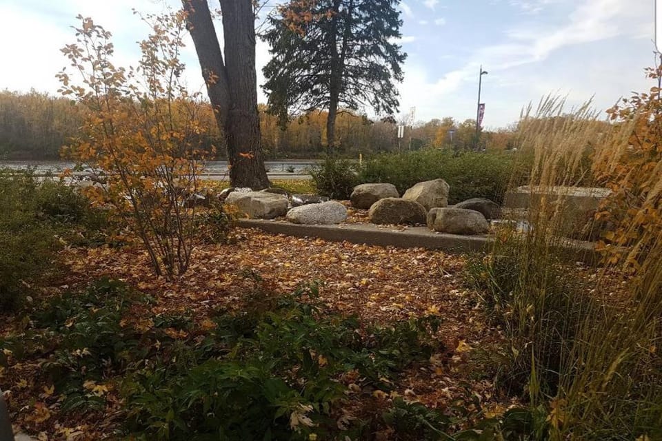 Cozy 1-BDR Suite #20 by Amazing Property Rentals Apartment in Gatineau
