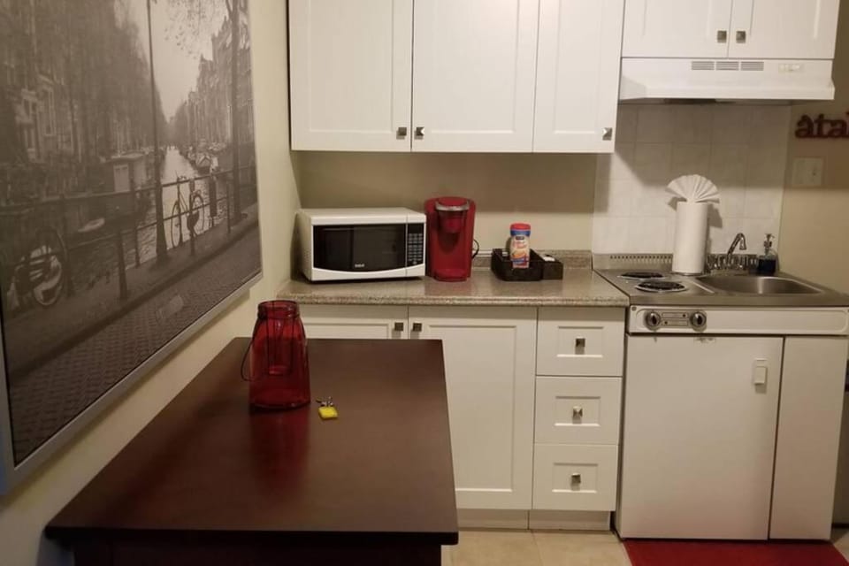 Cozy 1-BDR Suite #20 by Amazing Property Rentals Apartment in Gatineau