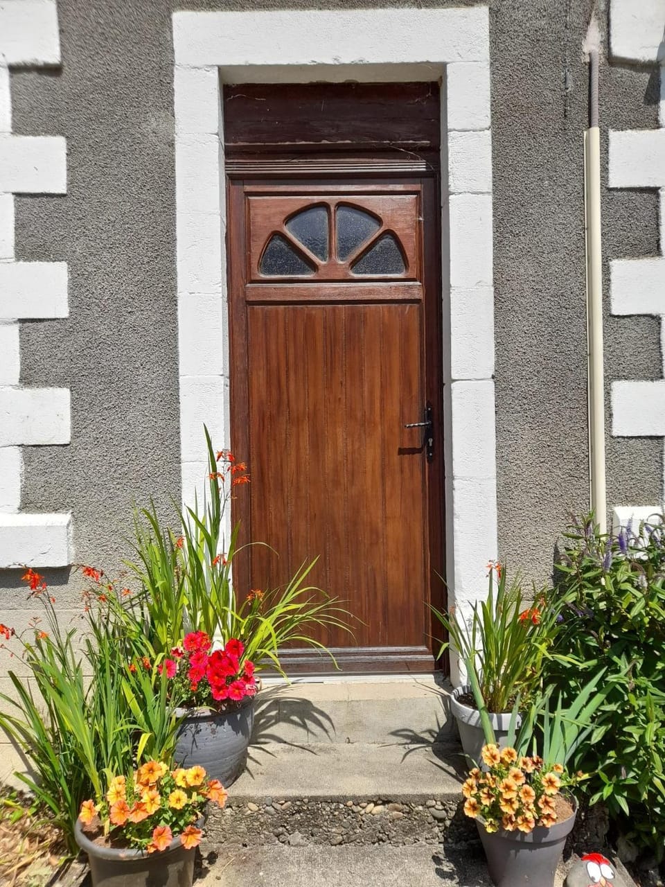 Carpe Diem Bed and Breakfast Bed and Breakfast in Occitanie