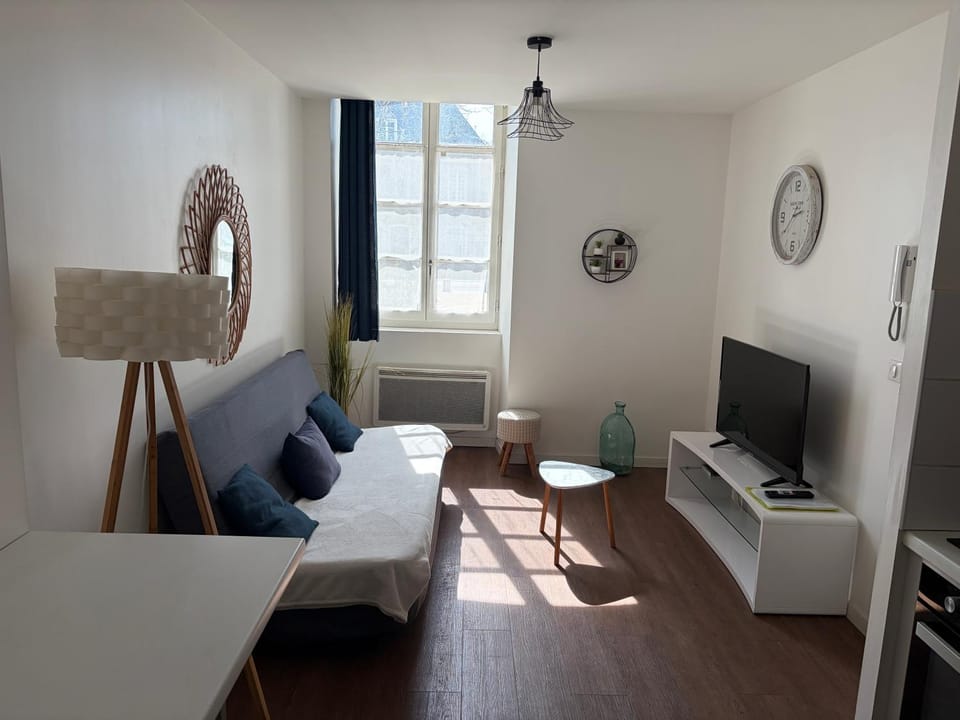 Studio cosy centre Pau proche gare lit Queen Apartment in Pau