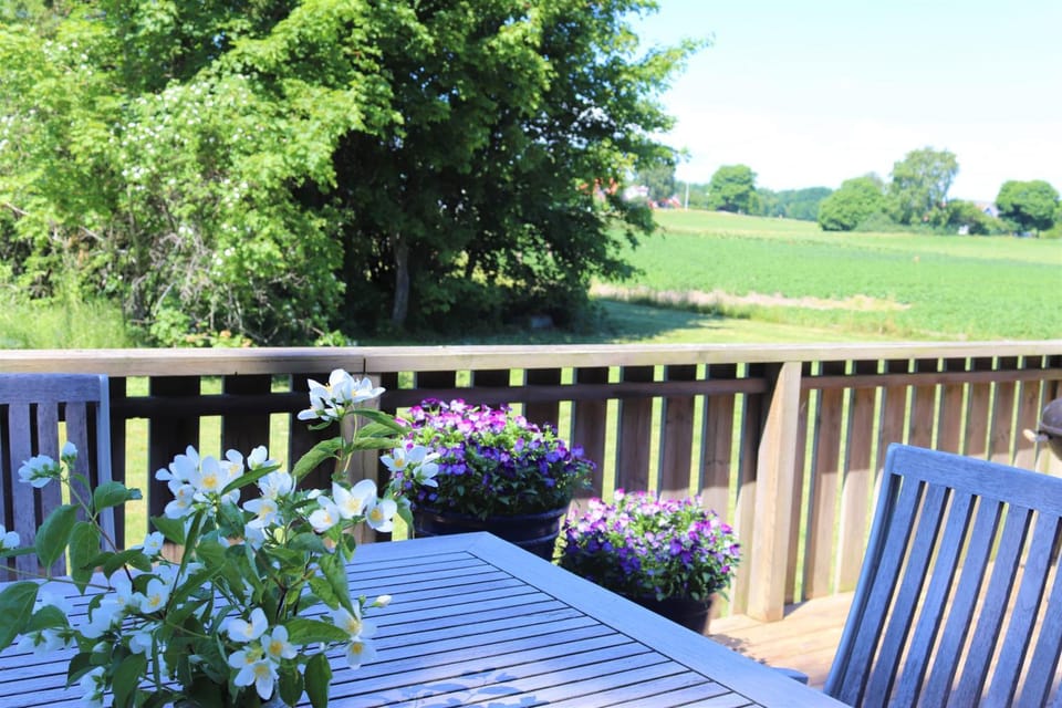 Balcony/Terrace, Garden view