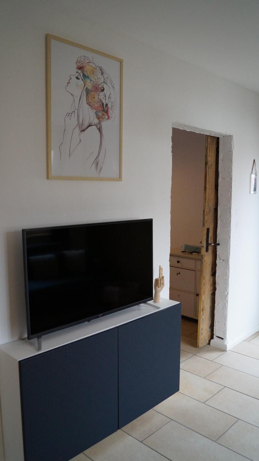 TV and multimedia