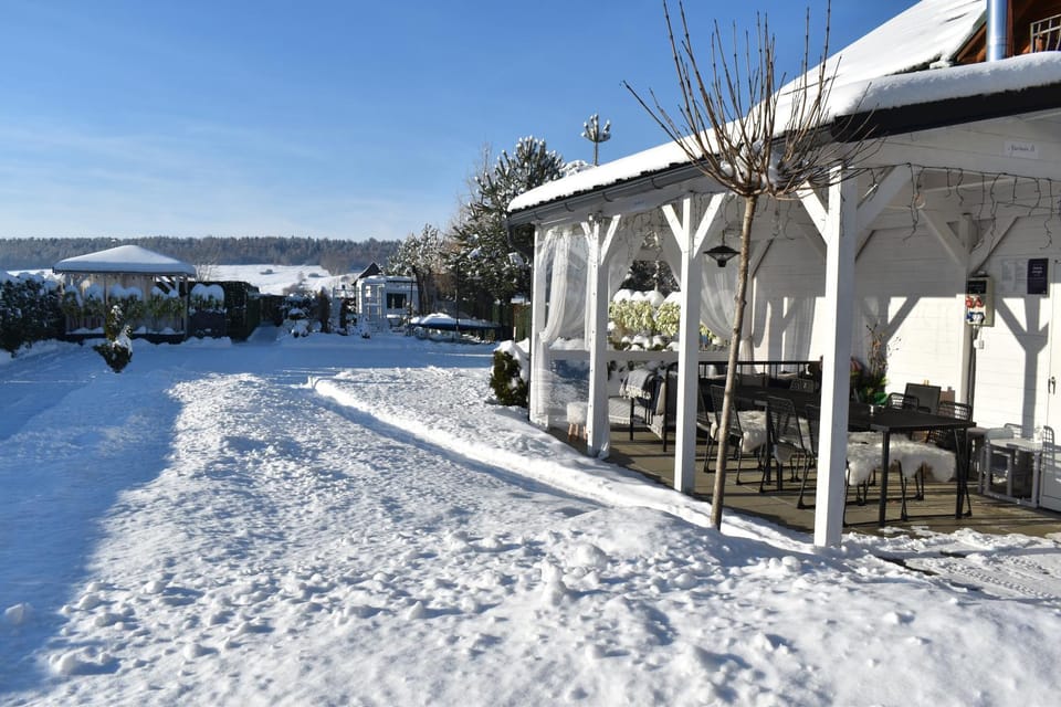 Day, Winter, Garden