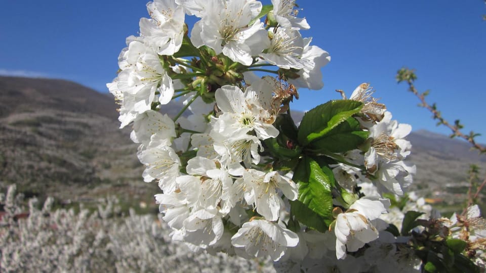 Natural landscape