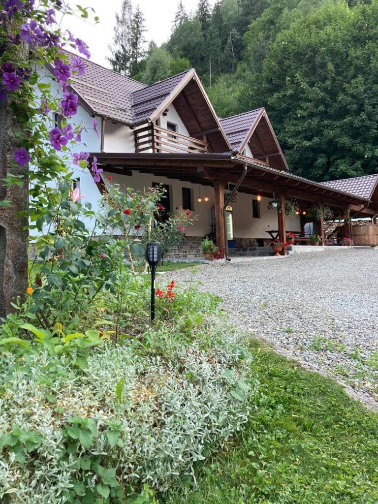 Pensiunea Cheile Repezii Nature lodge in Romania
