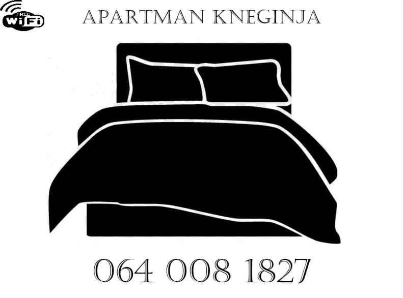 Apartman Kneginja Apartment in Serbia